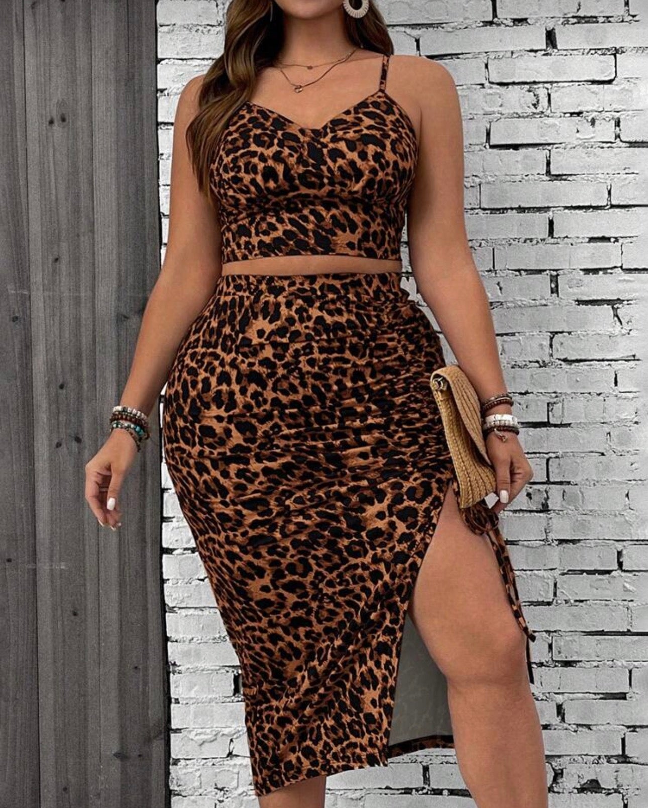 Curve Leopard Print 2 Piece Set