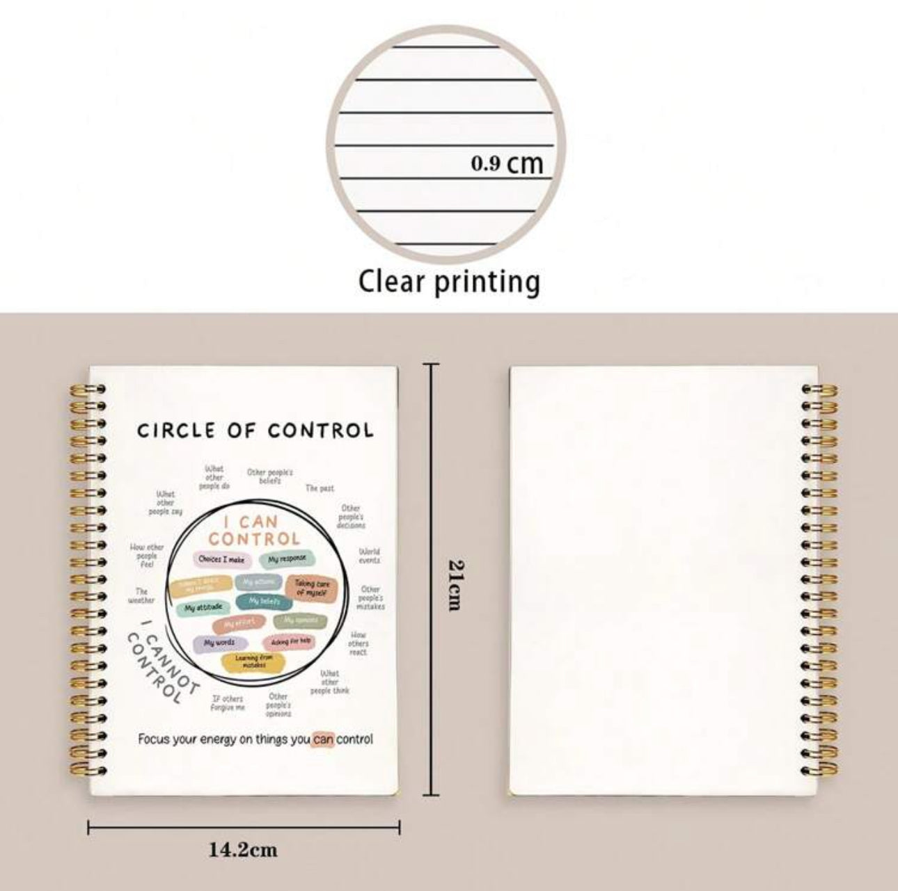 Things I Can Control Journal