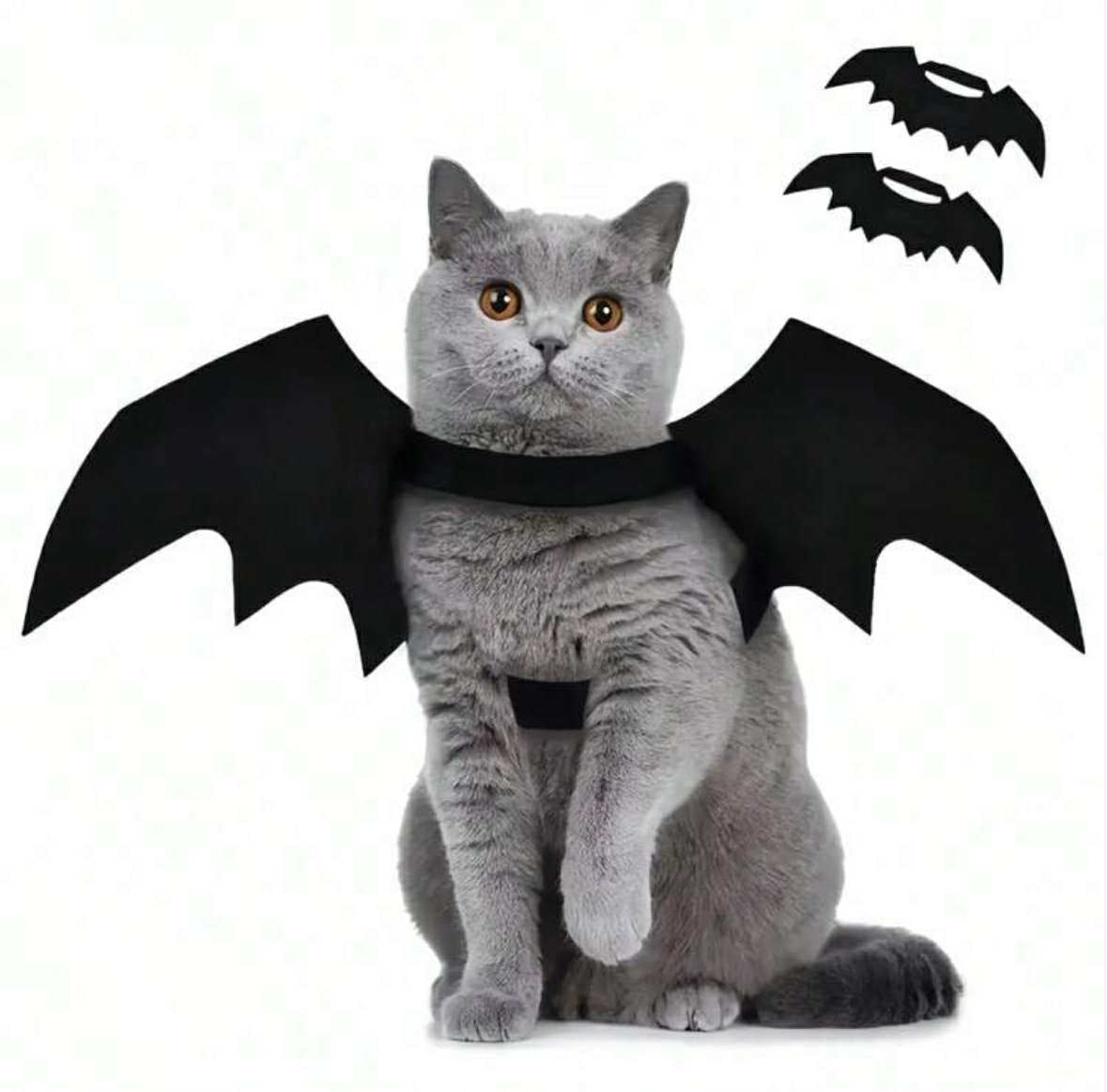 Bat Wing Pet Costume