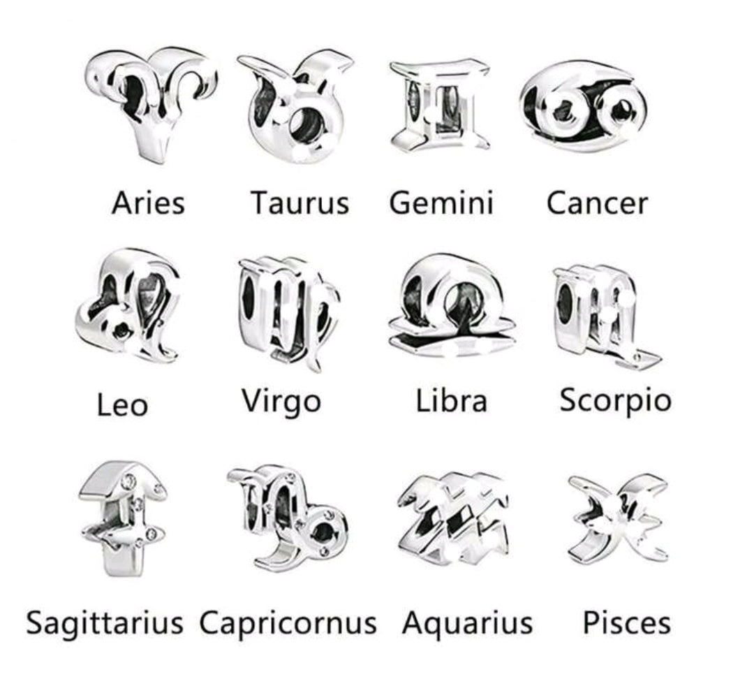 Zodiac Charms