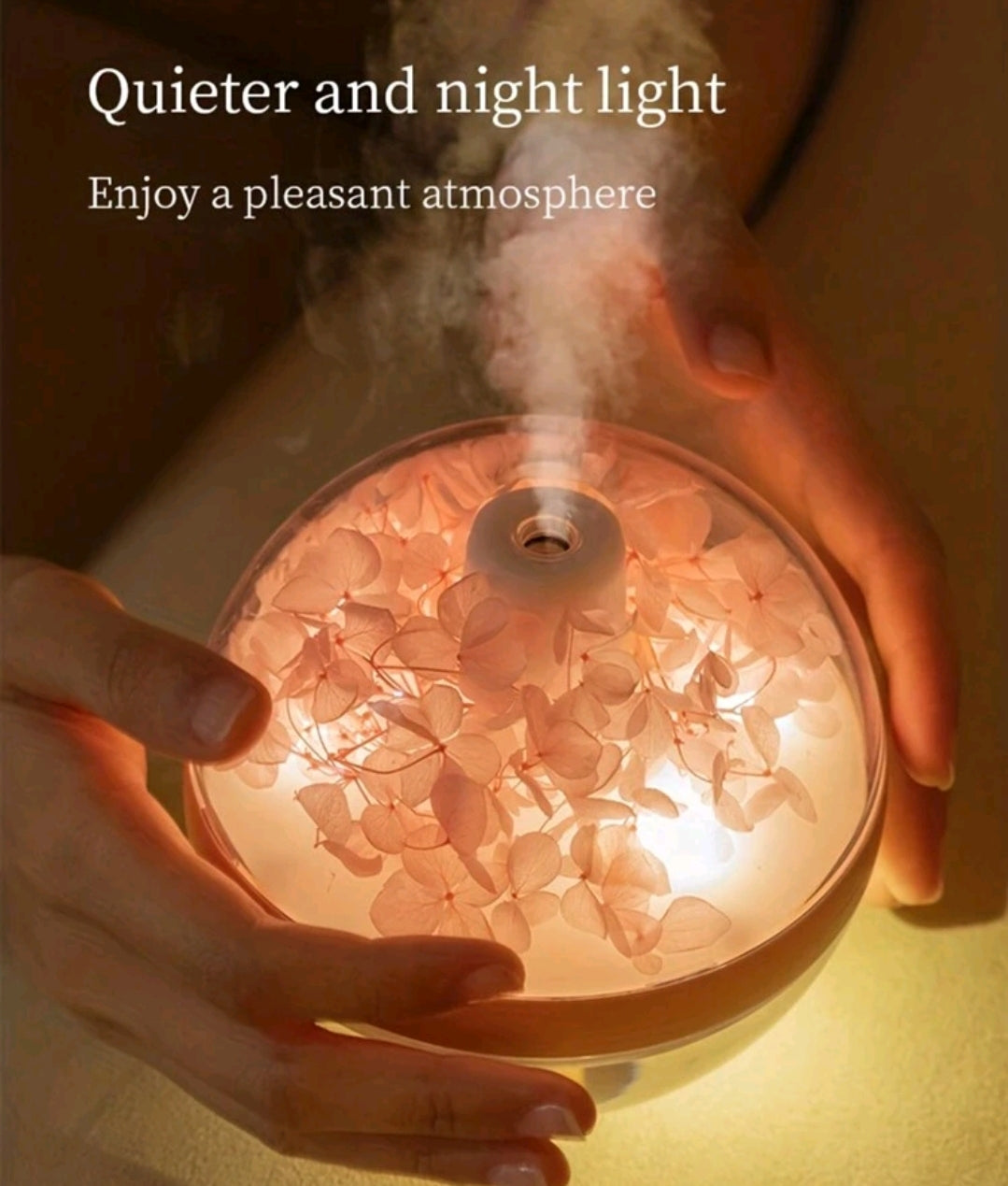 Rechargeable Humidifier