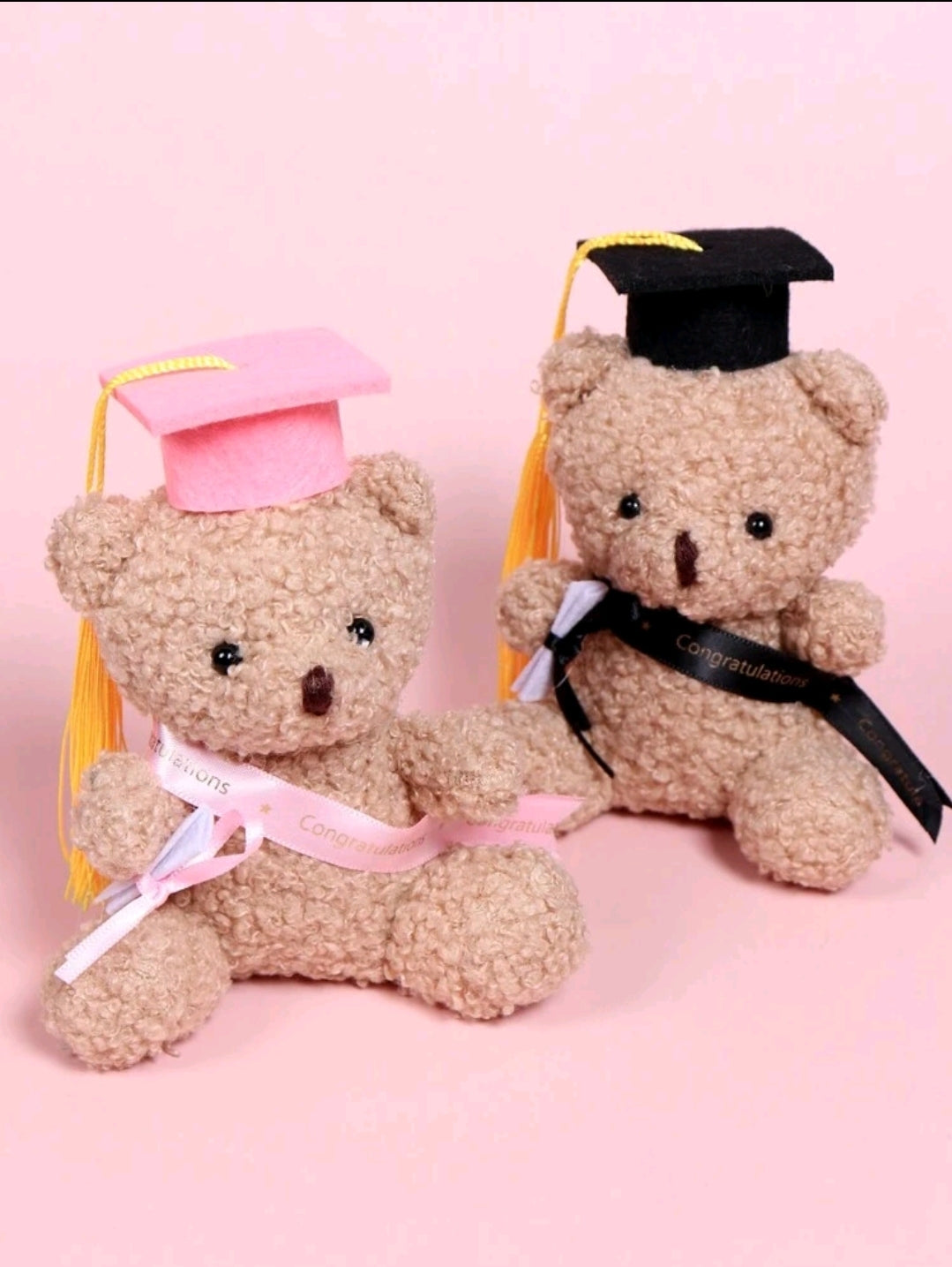Graduation Bear