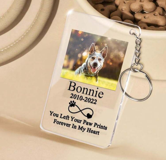 Pet Keyring