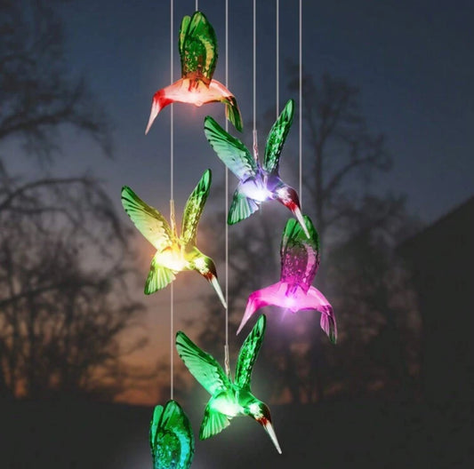 Hummingbird Outdoor Light