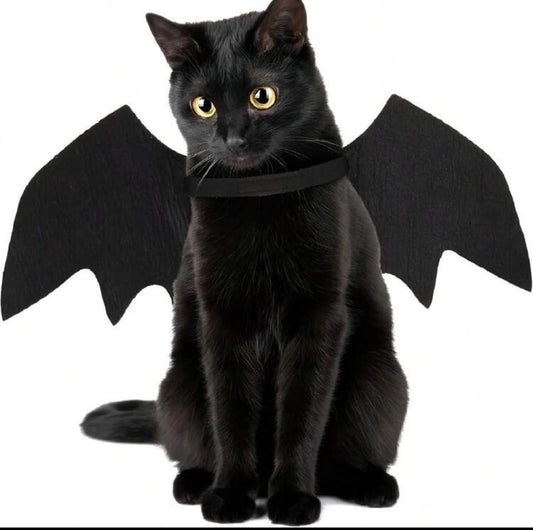 Cat Bat Wings