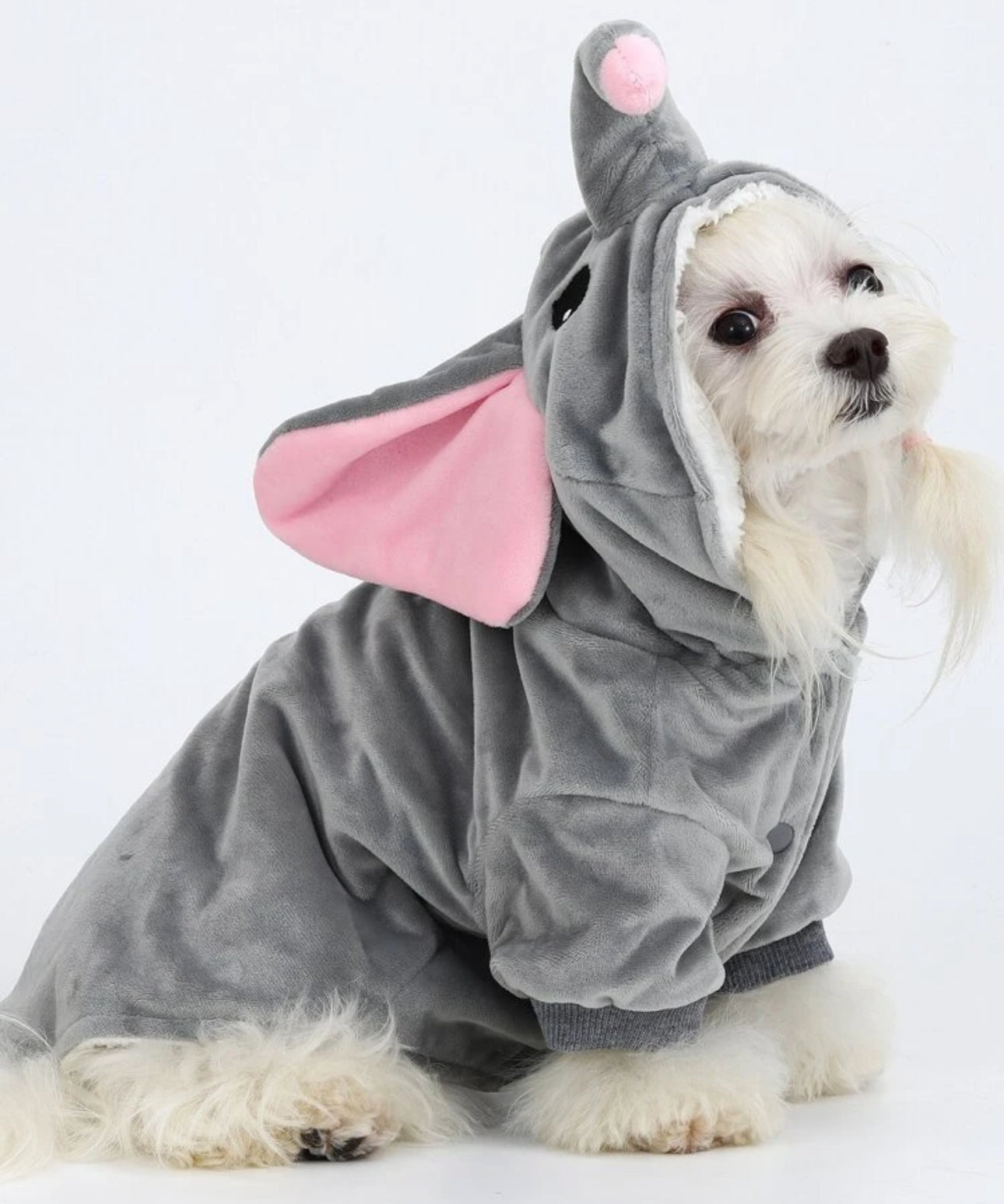 Dumbo Dog Outfit
