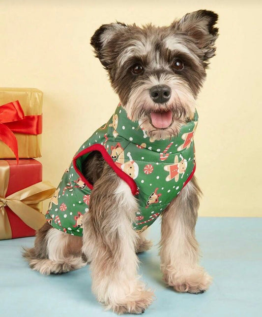 Christmas Dog Vest