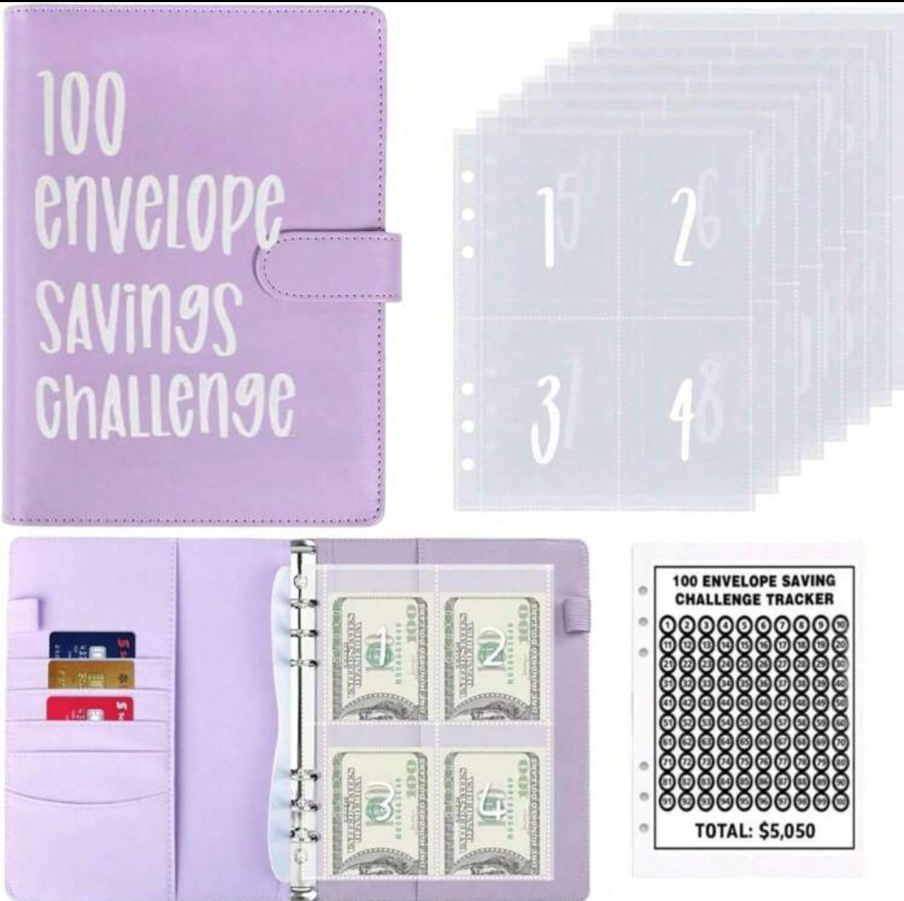 100 Envelope Savings Challenge