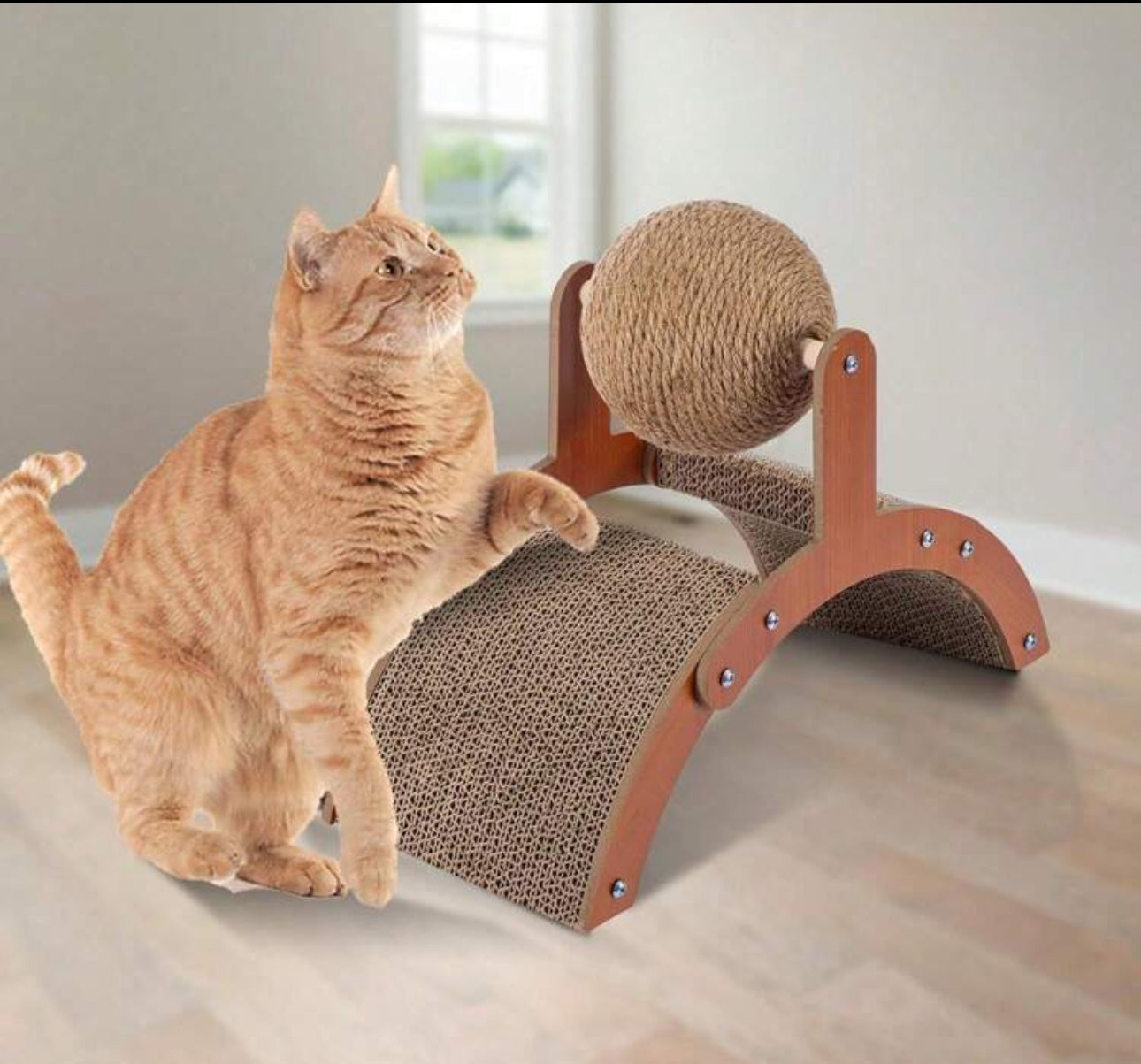 Cat 2 in 1 Scratcher and Play Ball