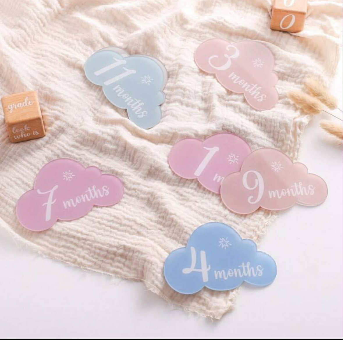 Milestone Acrylic Plaques