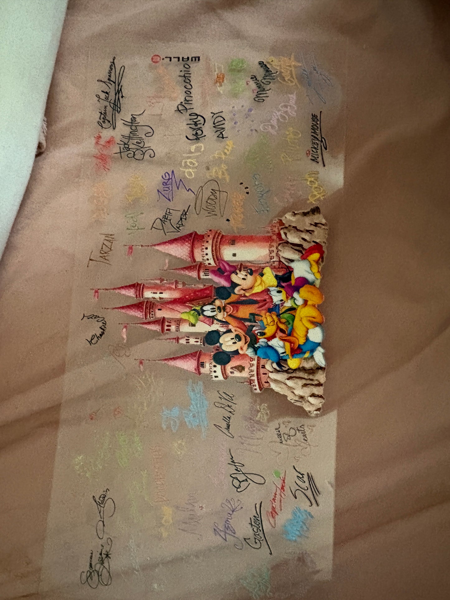 Disney Inspired Wraps