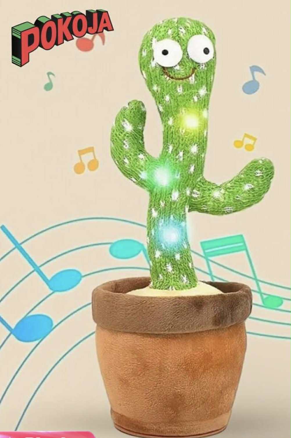 Dancing Christmas Cactus