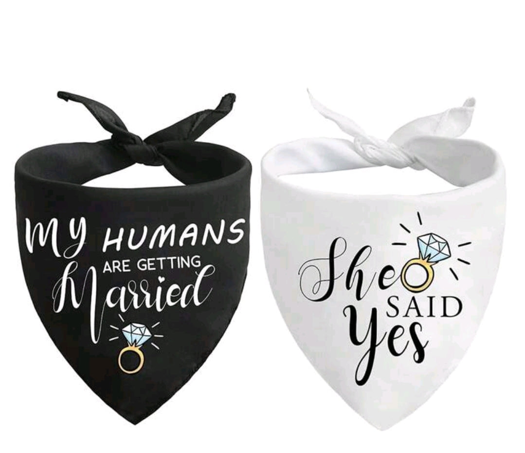 Wedding Dog Bandanas