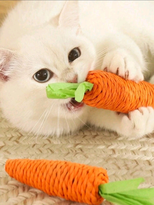 Carrot Chew Toy