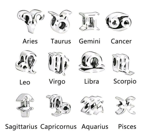 Zodiac Charms