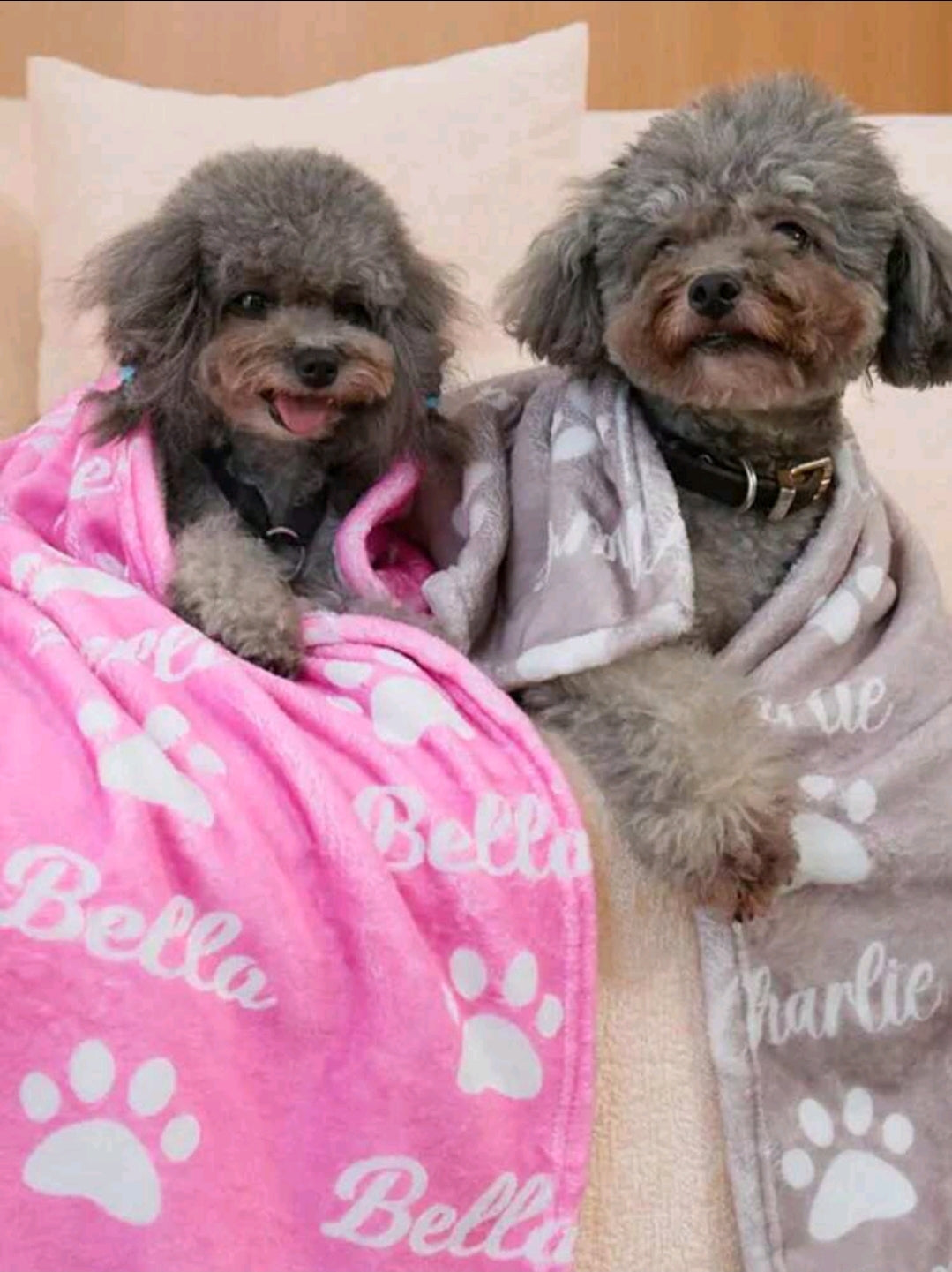 Personalised Dog or Cat Blanket