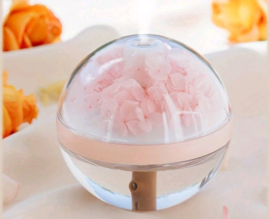 Rechargeable Humidifier